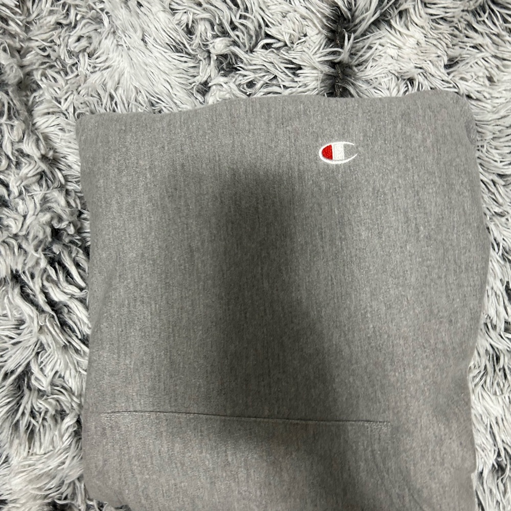 Champion grey hoodie